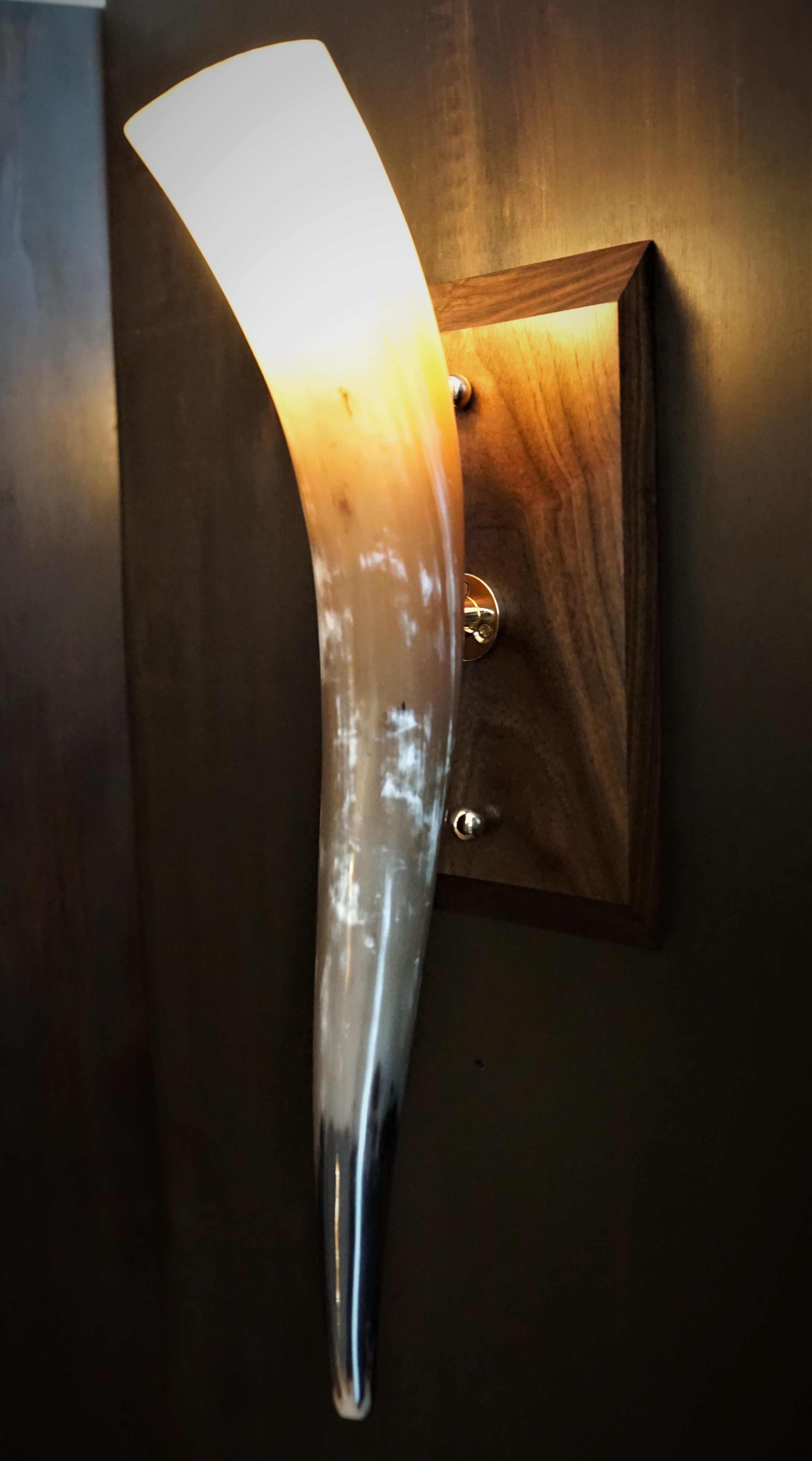 The "Great Plains" Natural Horn & Black Walnut Wall Sconce - phoenixlighting