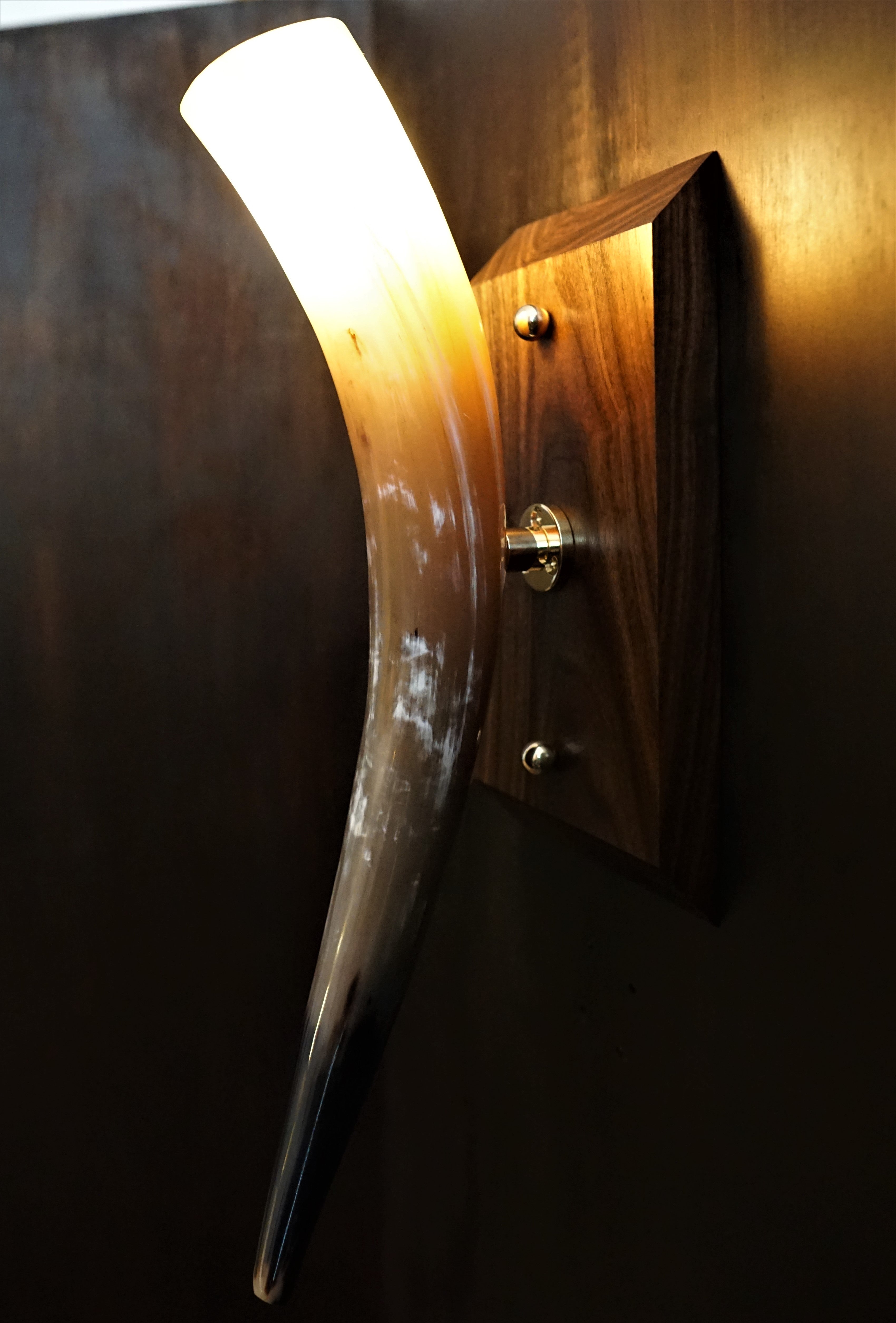 Natural real horn wall light