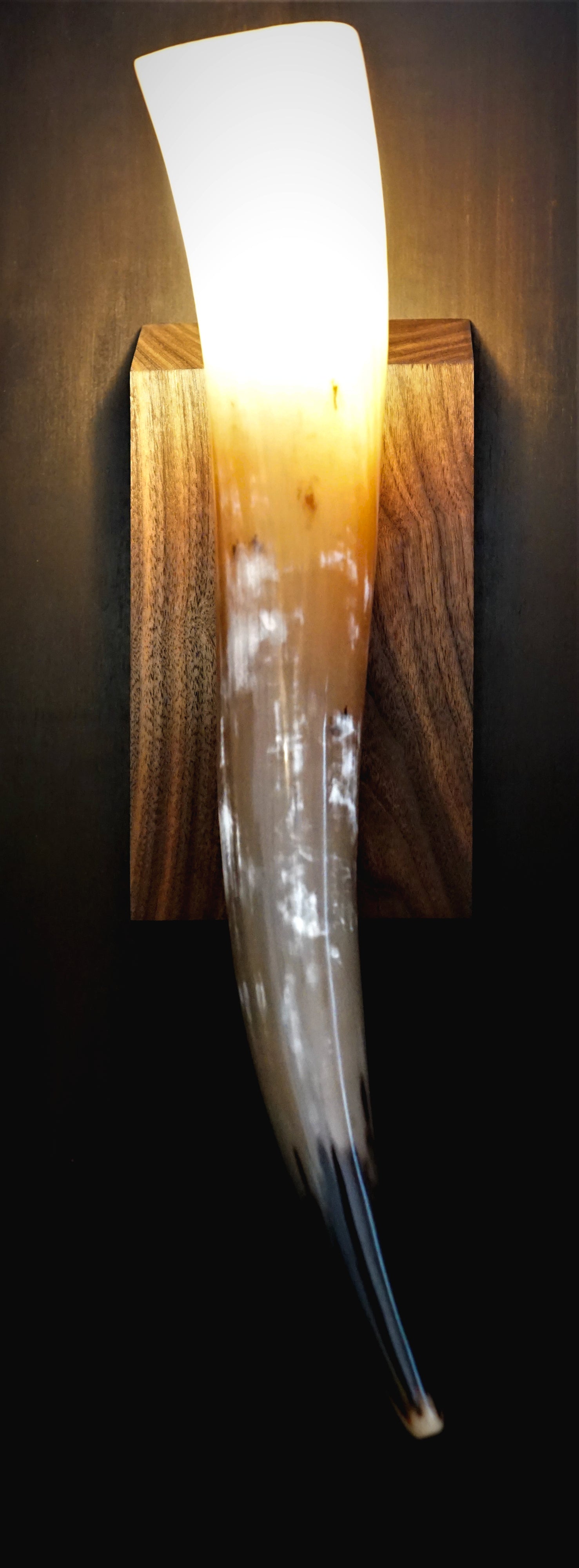 Natural lighted buffalo horn wall light