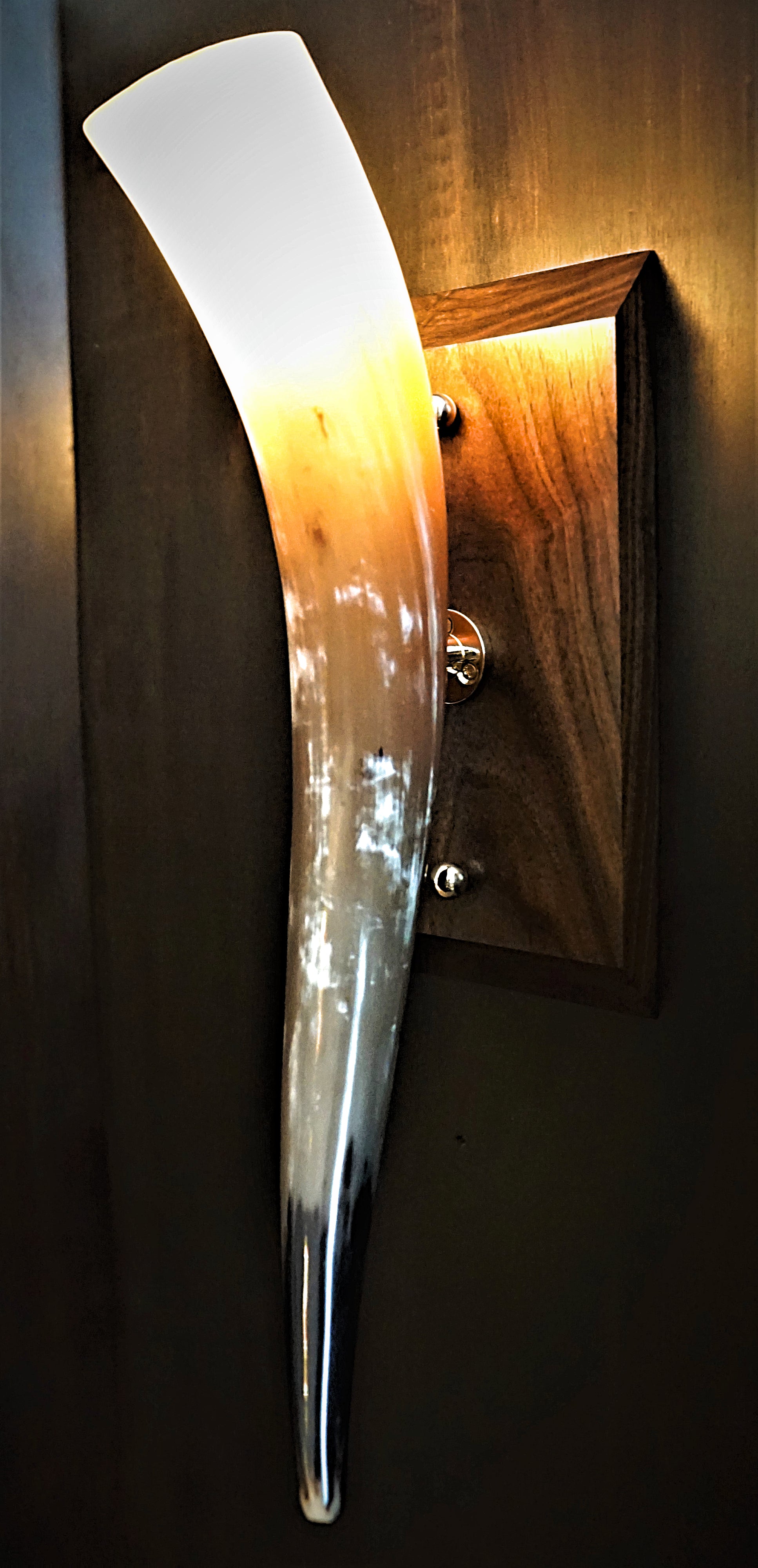 Natural Buffalo Wall Sconce with Black Walnut  with hand polished brass  components