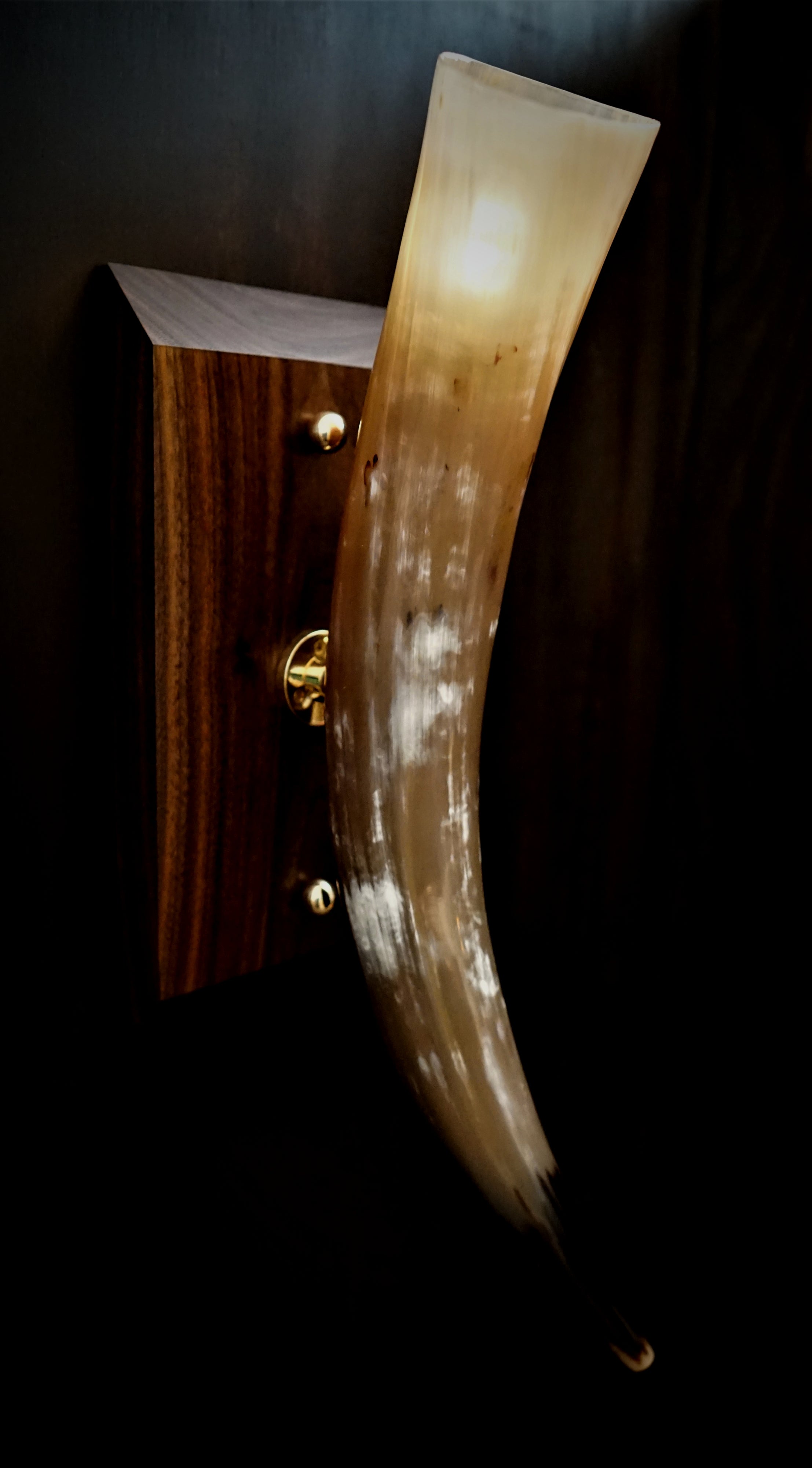 Black walnut real horn wall sconce