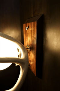 "The Moonlight" Deer Antler Black Walnut Wall Sconce - phoenixlighting