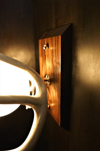 Custom antler lighting fixture