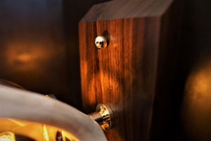 Black walnut  wall light with polished brass fititings