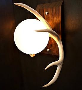 Custom natural  antler lighting