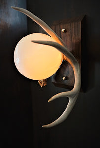 Custom natural deer antler wall light with black walnut