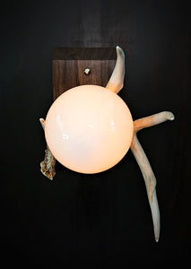 Custom natural antler lighting