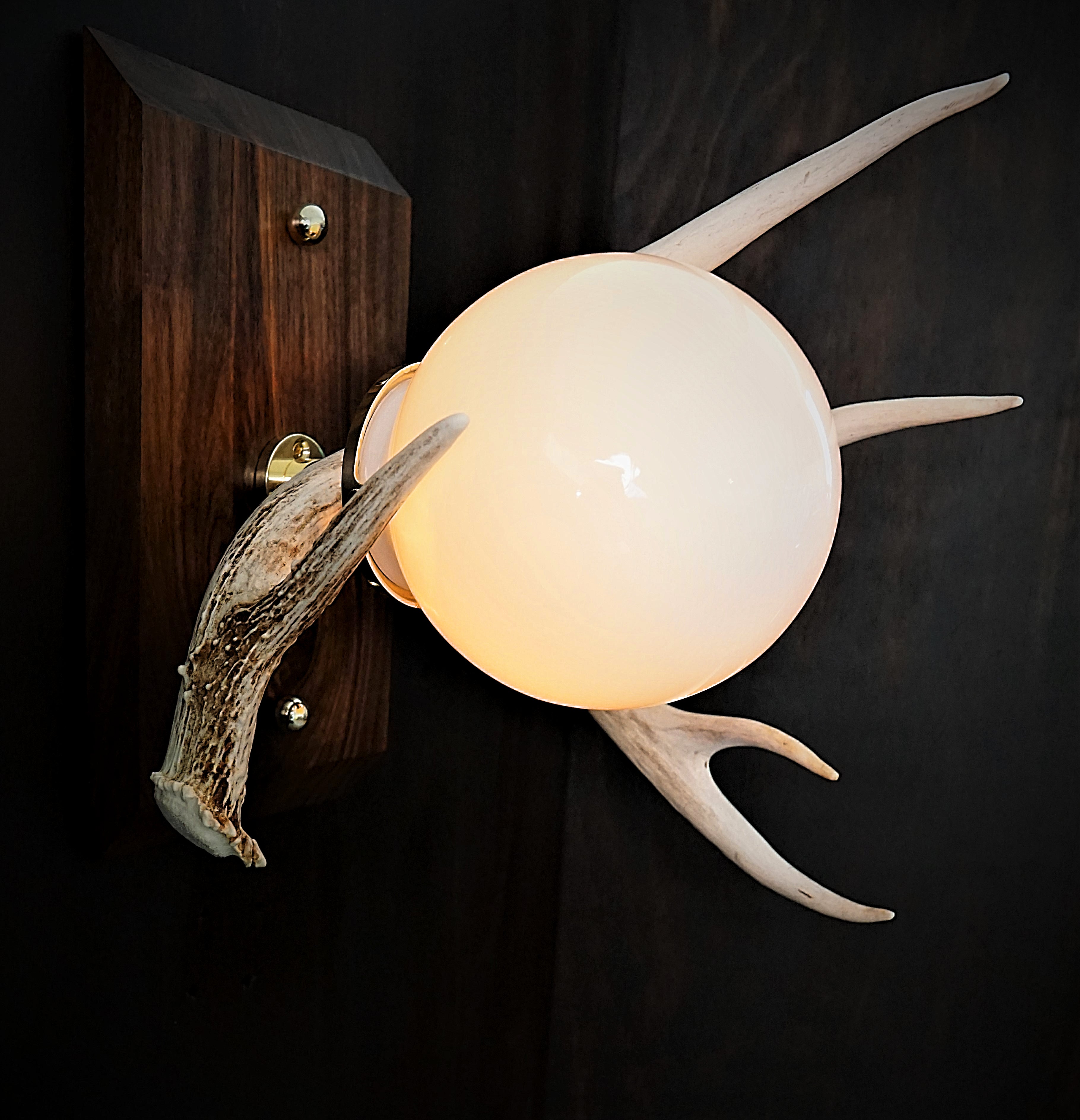 Custom natural  antler lighting