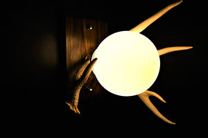 Custom natural antler lighting